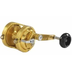 ANGELROLLE ITALCANNA GLADIATOR CUB