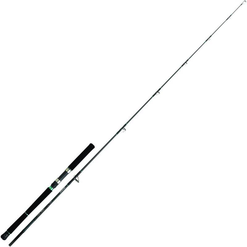ANGELRUTE DAIWA SALTIST 3 ANGELRUTE DAIWA SALTIST