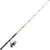 ANGELRUTENSET MEER DAIWA PALANGROTTE 01/02 -Angelgeschäft angelrutenset meer daiwa palangrotte 01 02 z 1519 151998