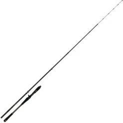 CANNE CASTING DAIWA LEGALIS BOAT GAME 1+1