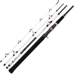 CANNE CASTING SPRO SALTY BEAST NANO - TRAVELLER