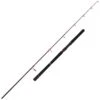 CANNE SPINNING PENN SQUADRON III JIG SPINNING ROD