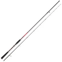 CANNE TENYA DAIWA SALTIST TENYA